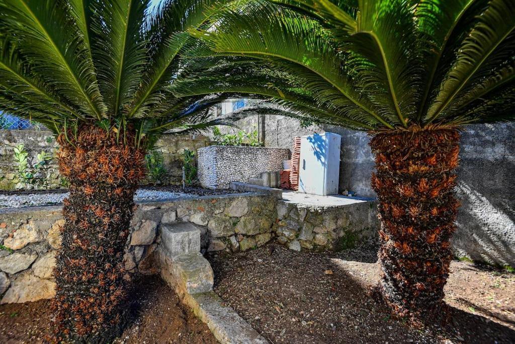 Tere Apartment Dubrovnik Luaran gambar